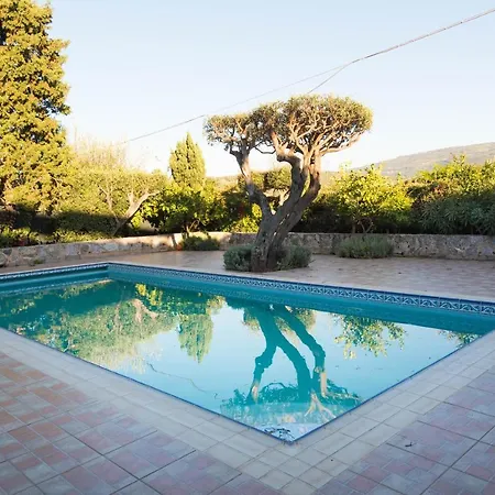 Dream Bay Exclusive Villas * Capo Vaticano